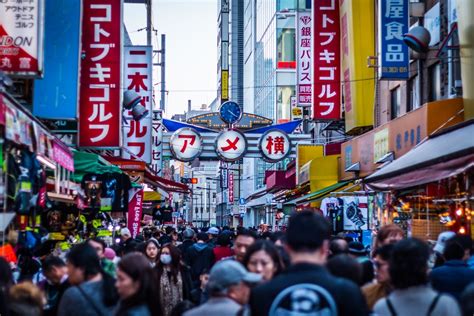 東京 上野 観光：猫と宇宙の交差点